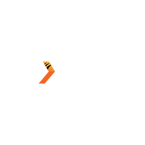 NS